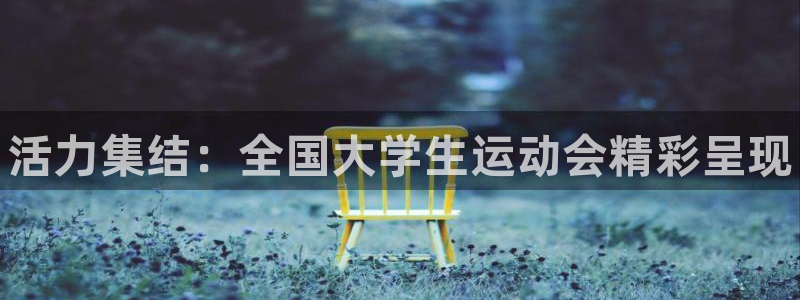 一竞技官方正版app集团官网网址：活力集结：全国大学