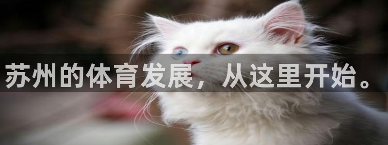 一竞技官网下载招商：苏州的体育发展，从这里开始。