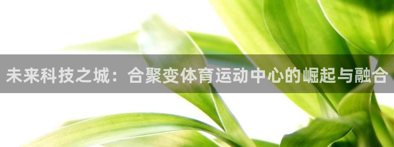 一竞技官方正版app集团官网首页：未来科技之城：合聚变体育运