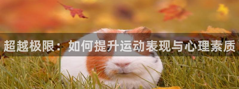 一竞技官方正版app开户