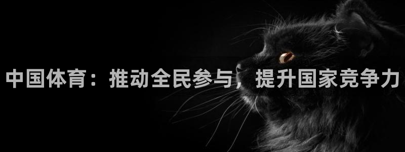 注册一竞技官方正版app：中国体育：推动全民参与，提升国家竞