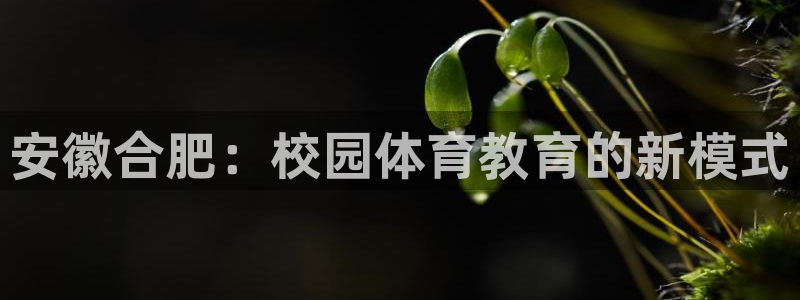 一竞技官方正版app集团简介：安徽合肥：校园体育教育的新模式