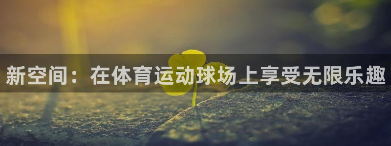 一竞技官方正版app官网：新空间：在体育运动球场上享受无限乐