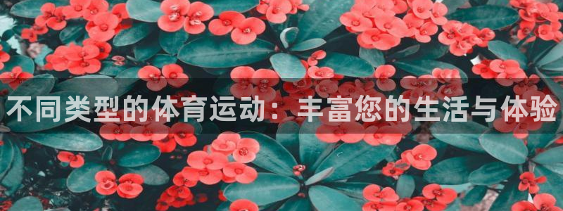一竞技官网下载平台注册要钱吗是真的吗：不同类型的体育运动：丰