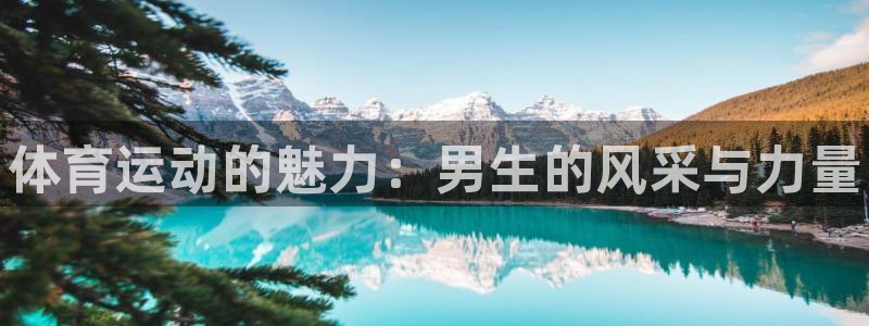 一竞技官方正版app集团logo