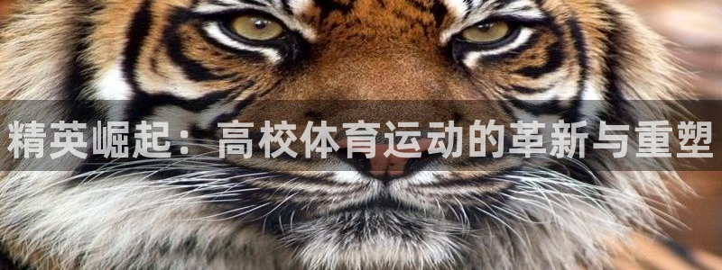 一竞技官方正版app官网：精英崛起：高校体育运动的革