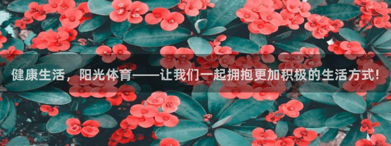 一竞技官方正版app娱乐：健康生活，阳光体育——让我