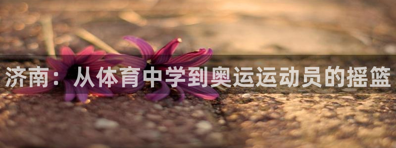 一竞技官网下载招商电话号码：济南：从体育中学到奥运运