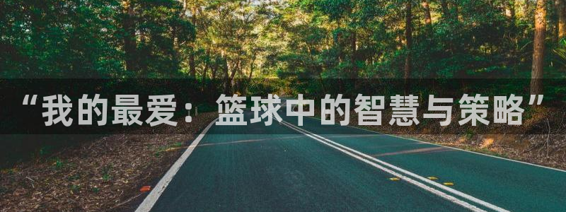 一竞技官网下载招商电话号码查询：“我的最爱：篮球中的
