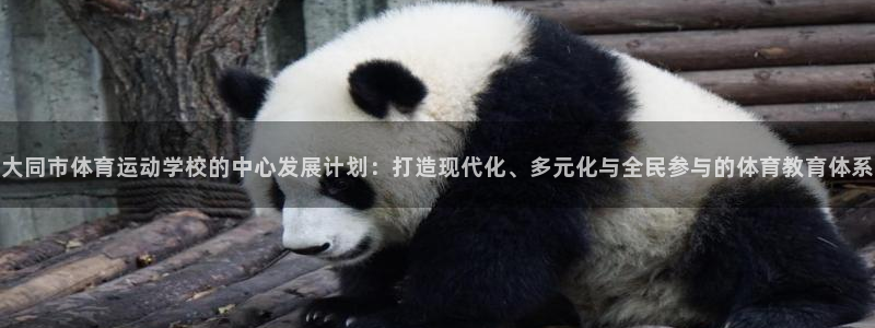 一竞技官网下载娱乐：大同市体育运动学校的中心发展计划