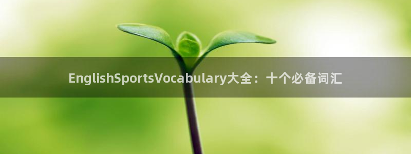 一竞技官方平台体育