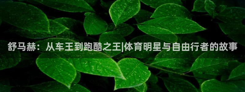 一竞技官方正版app集团官网首页：舒马赫：从车王到跑酷之王|