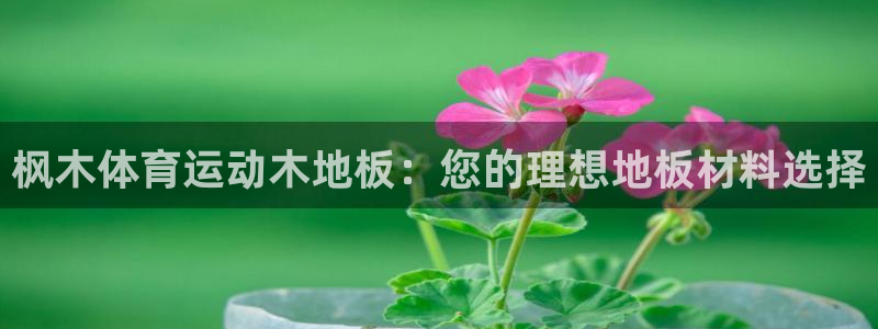 一竞技官网下载招商：枫木体育运动木地板：您的理想地板材料选择