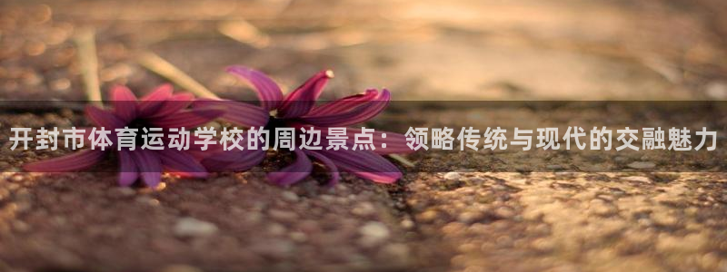 海南一竞技官网下载发展怎么样