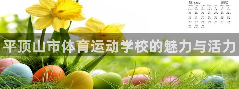 一竞技官网下载平台注册流程视频：平顶山市体育运动学校