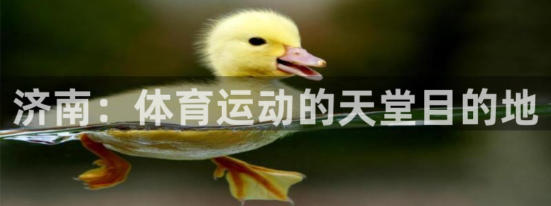 一竞技官方正版app神州：济南：体育运动的天堂目的地
