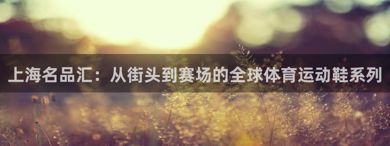 一竞技官网下载平台假的吗是真的吗吗：上海名品汇：从街头到赛场