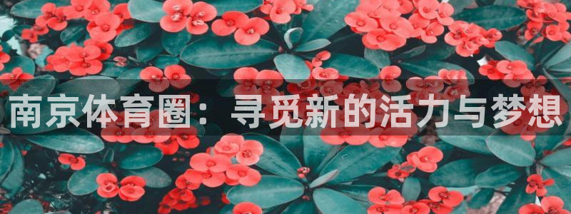 一竞技官网下载平台注册流程视频：南京体育圈：寻觅新的