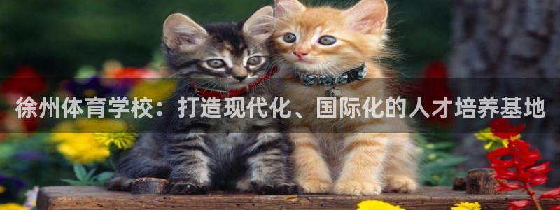 一竞技官网下载官方客服电话：徐州体育学校：打造现代化、国际化