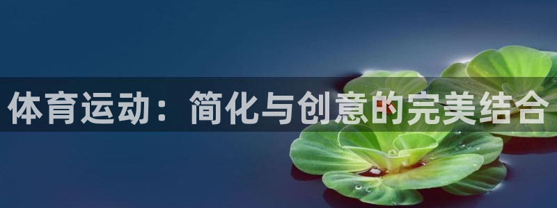 一竞技官方正版app娱乐首页网站大全：体育运动：简化与创意的