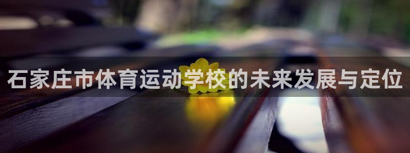 一竞技官方正版app集团官网首页网址：石家庄市体育运