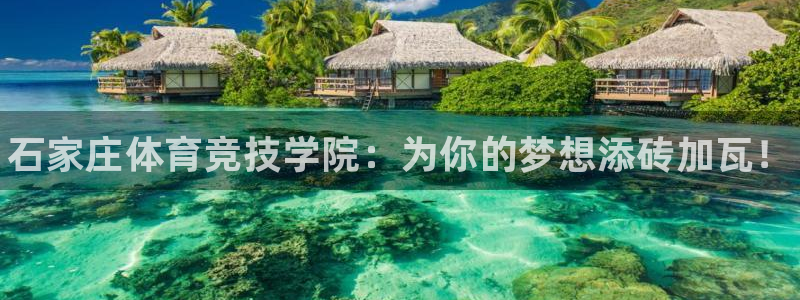 一竞技官方正版app集团官网首页：石家庄体育竞技学院