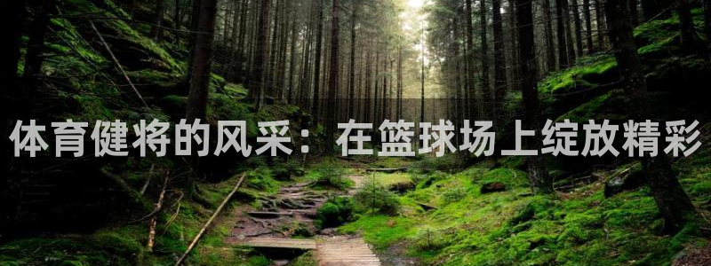 一竞技官方平台体育：体育健将的风采：在篮球场上绽放精彩