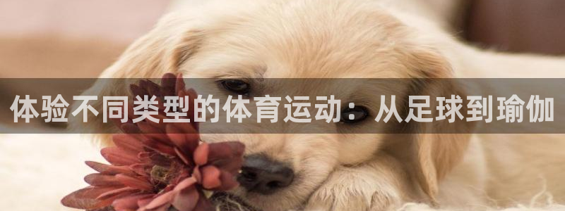 一竞技官方正版app官网：体验不同类型的体育运动：从足球到瑜