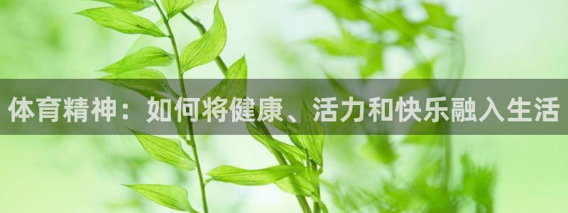 一竞技官方正版app集团官网网址：体育精神：如何将健