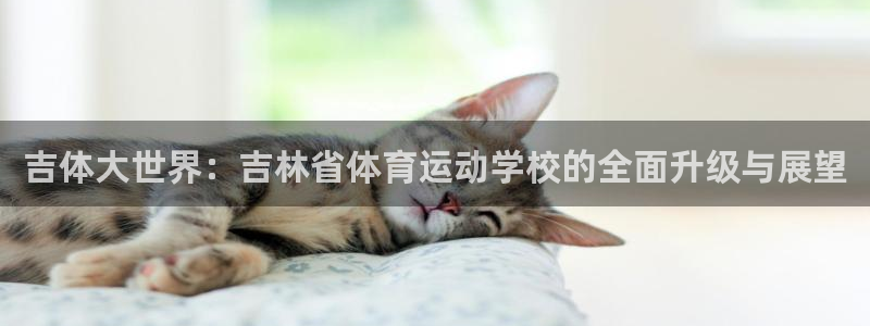 一竞技官方平台体育：吉体大世界：吉林省体育运动学校的全面升级