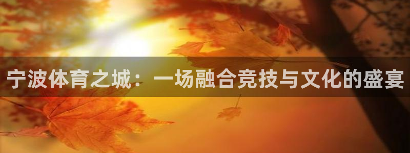 一竞技官方平台体育