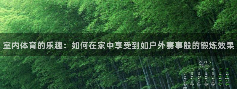 一竞技官方正版app新能源：室内体育的乐趣：如何在家中享受到