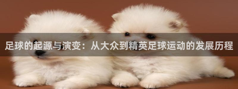 海南一竞技官网下载发展怎么样:足球的起源与演变:从大众到精英